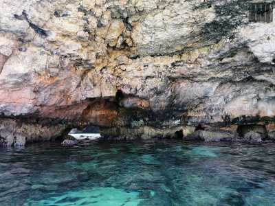 Raggiungiamo la maestosa caverna su cui si affacciava il locale: qui le pareti, affollate da decine di piccioni a riposo, sono caratterizzate da tanti piccoli anfratti e da �pilastri� in pietra che sembrano sorreggerne la volta
